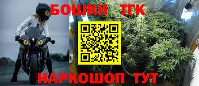 хмурый Камышлов