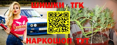 хмурый Камышлов