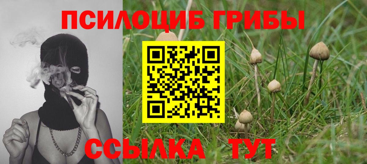 Галлюциногенные грибы ЛСД Чайковский