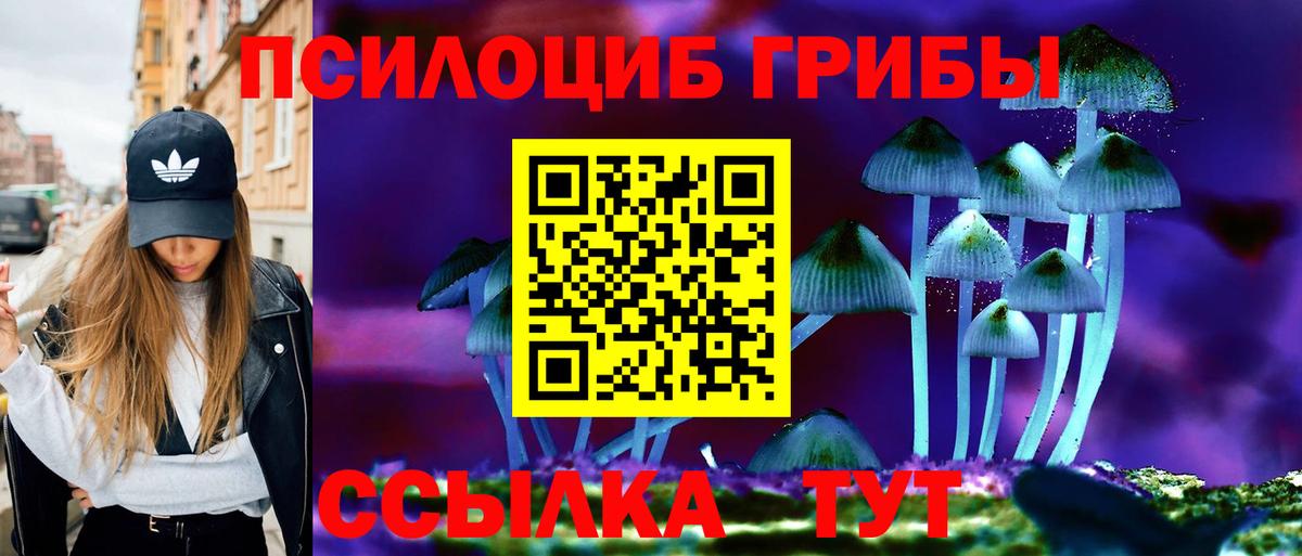 Псилоцибиновые грибы мицелий  Галлюциногенные грибы Psilocybine cubensis  Вход с VPN  Чайковский 